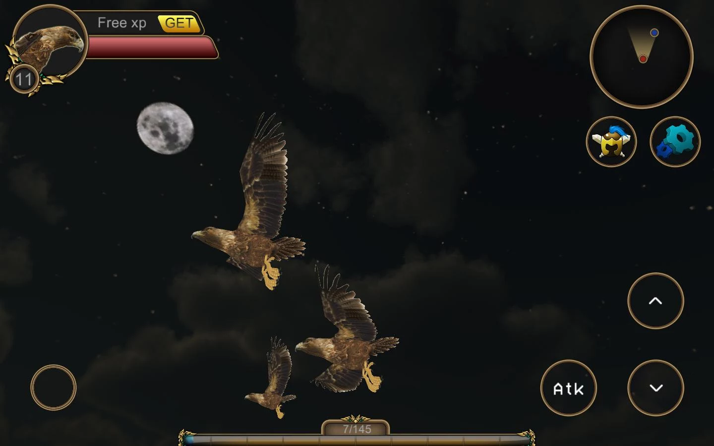 Eagle Bird Simulator - screenshot