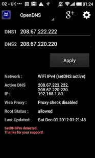 Set DNS - screenshot thumbnail